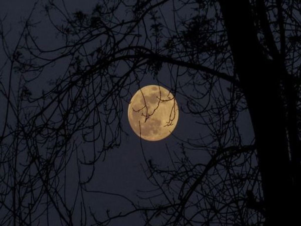 Caminhando em noite de Lua Cheia