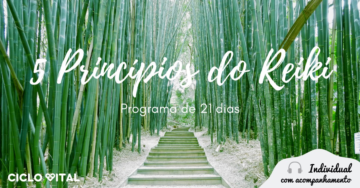 5 Princípios do Reiki - Programa de 21 dias