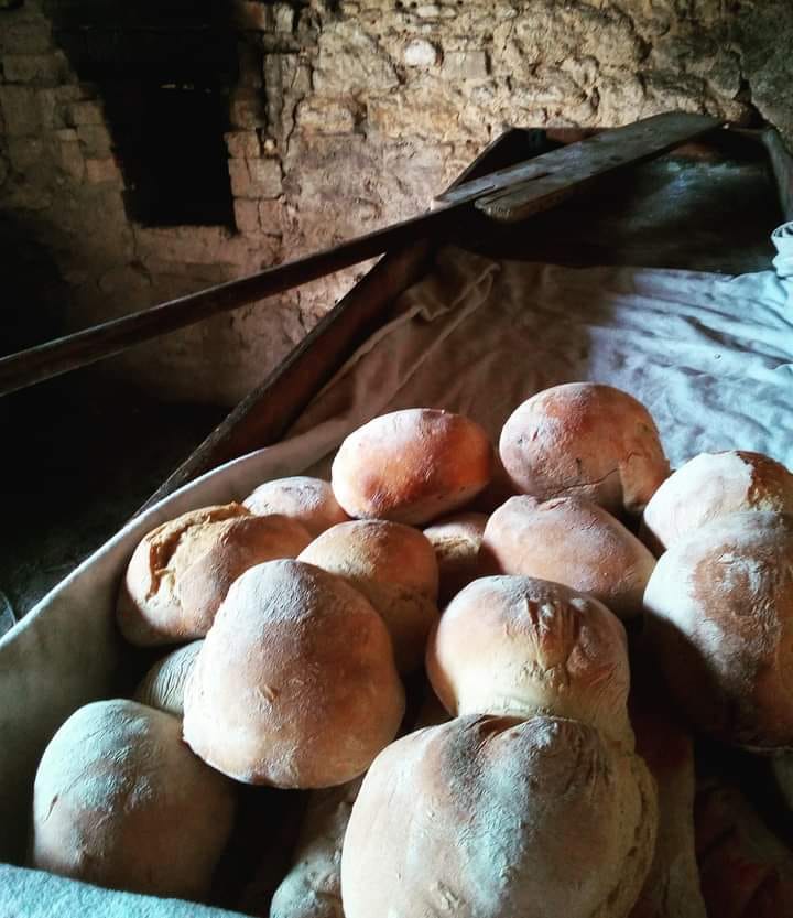 Workshop Pão tradicional de Palmela