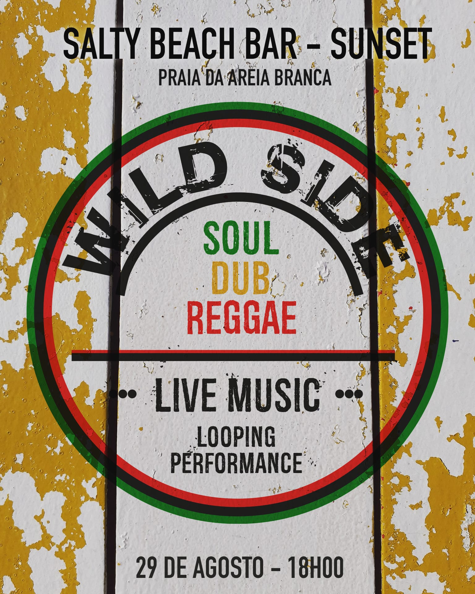 WILD SIDE - SOUL DUB REGGAE - LIVE MUSIC