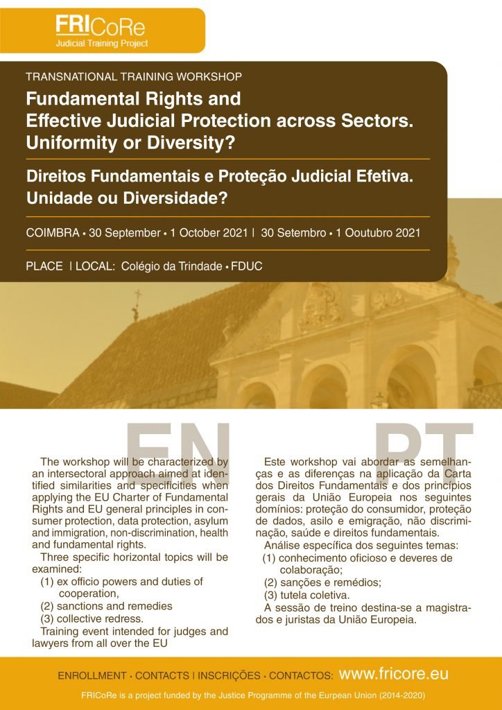 Direitos Fundamentais e Proteção Judicial Efetiva. Unidade ou Diversidade?