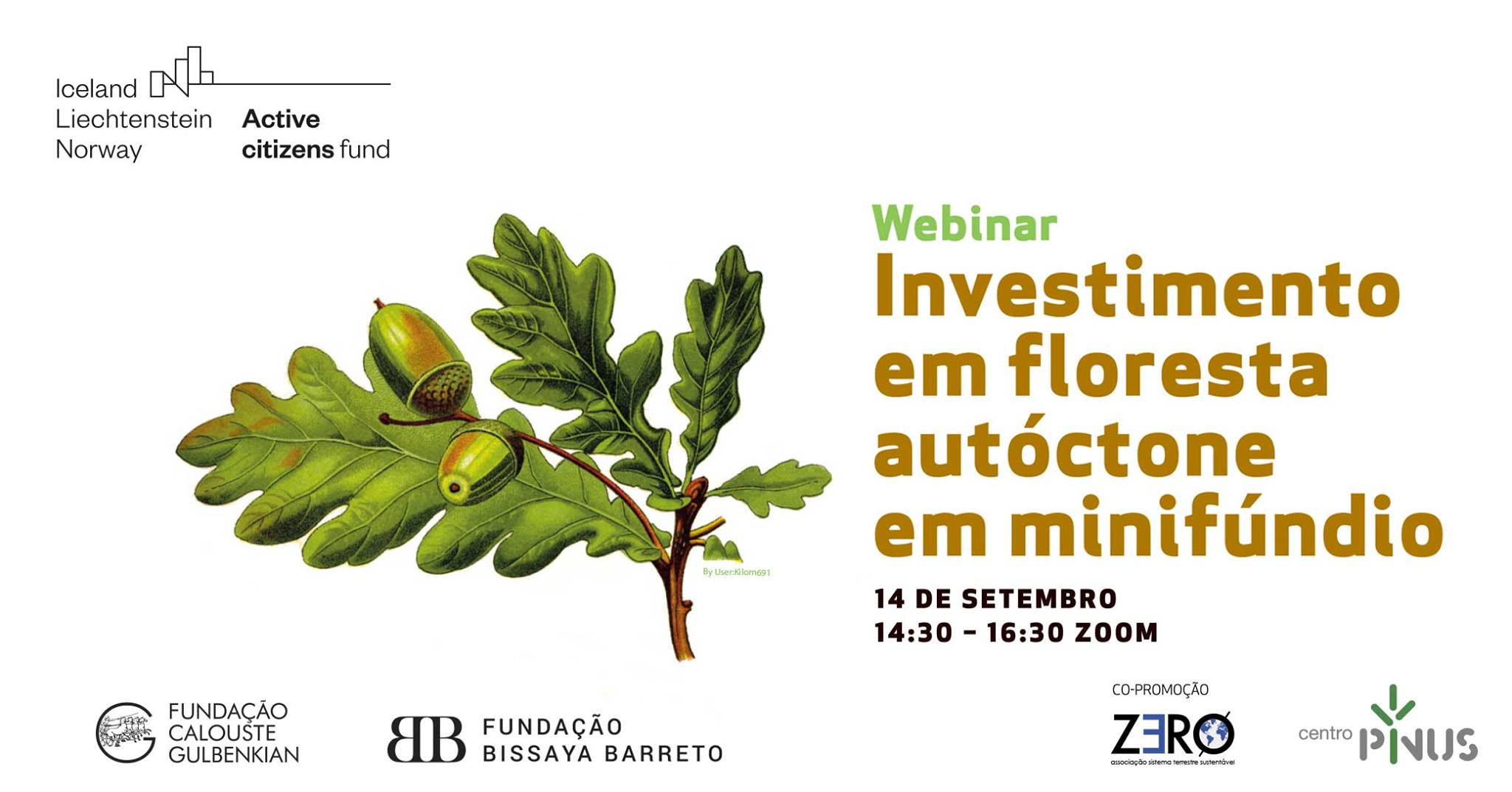 Webinar “Investimento em floresta autóctone em minifúndio”