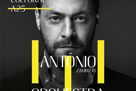 António Zambujo + Orquestra Filarmonia das Beiras [Eixo Cultural A25]