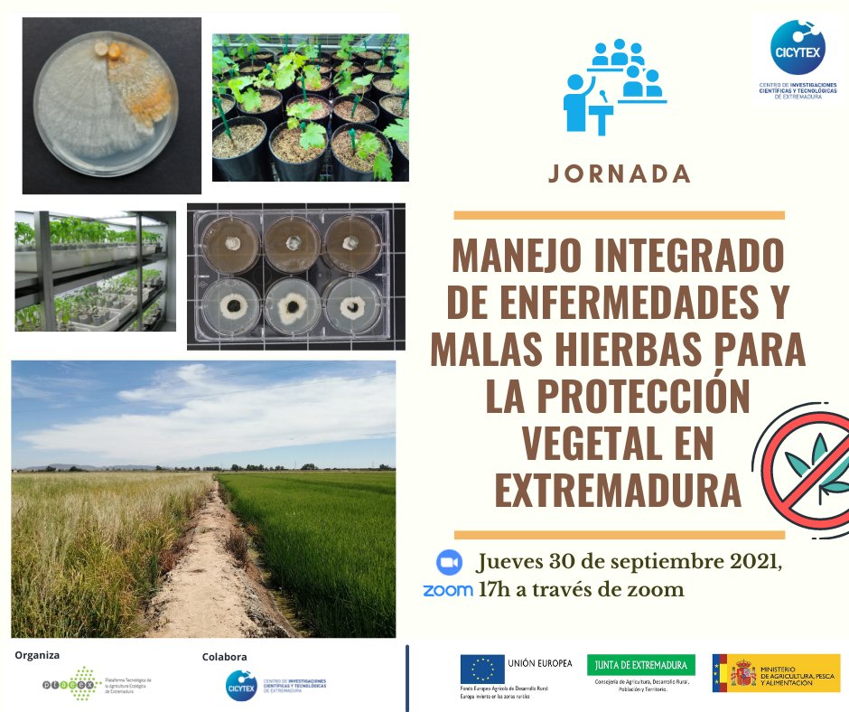  Jornada online Manejo integrado de enfermedades y malas hierbas para la protección vegetal en Extremadura. 30 de septiembre de 2021