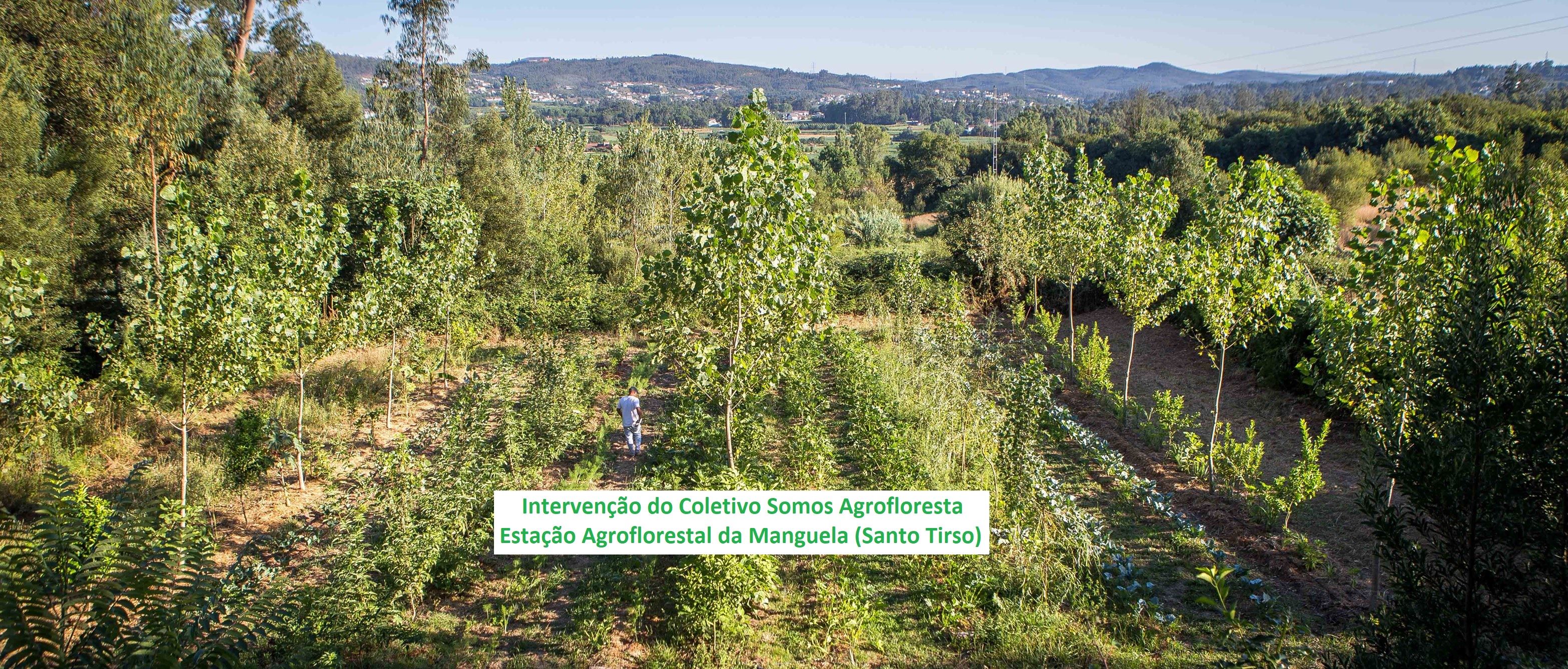Agrofloresta Sintrópica na Regeneração dos Ecosistemas-Apresentação e Debate
