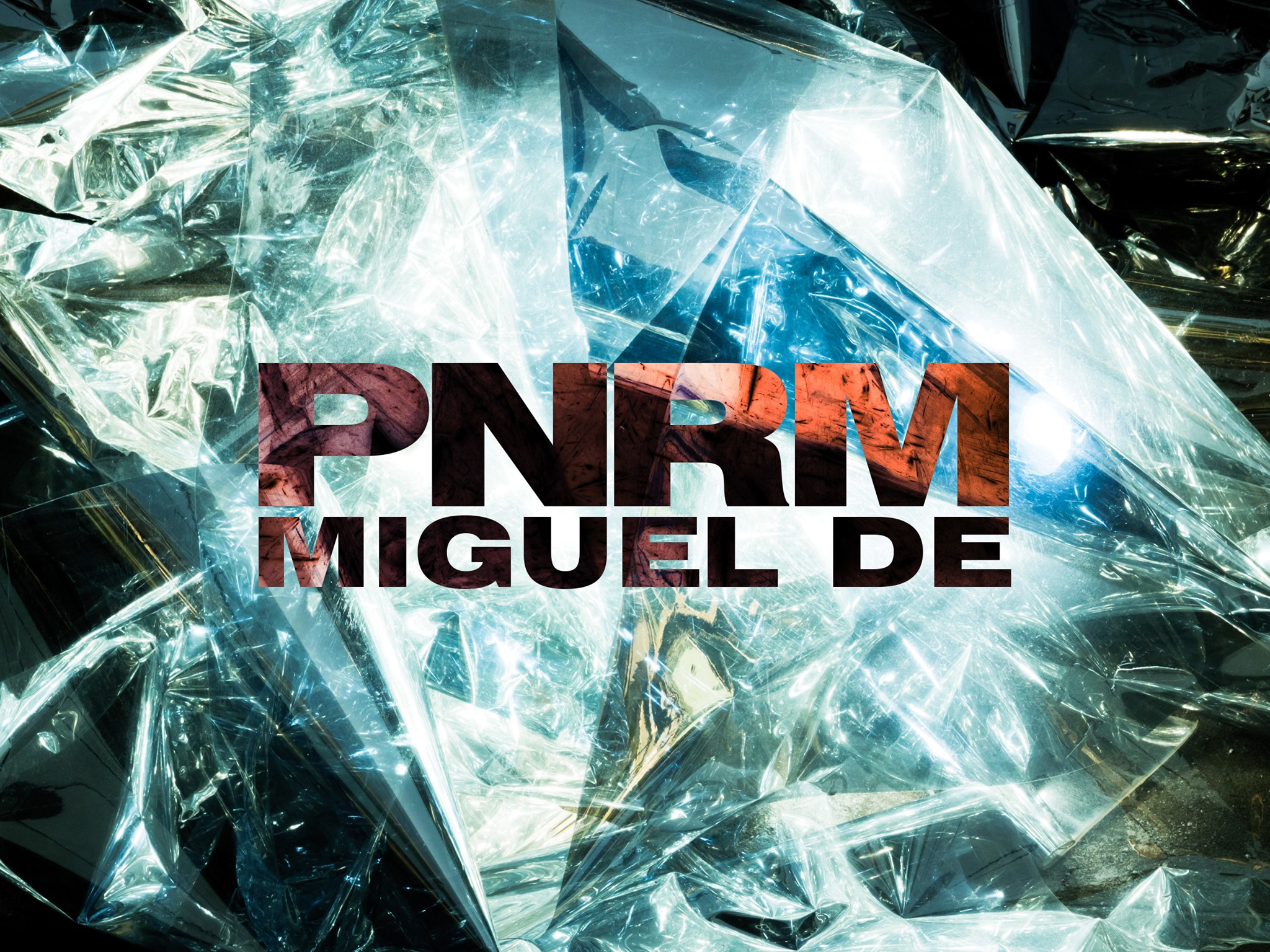 PNRM—Miguel De