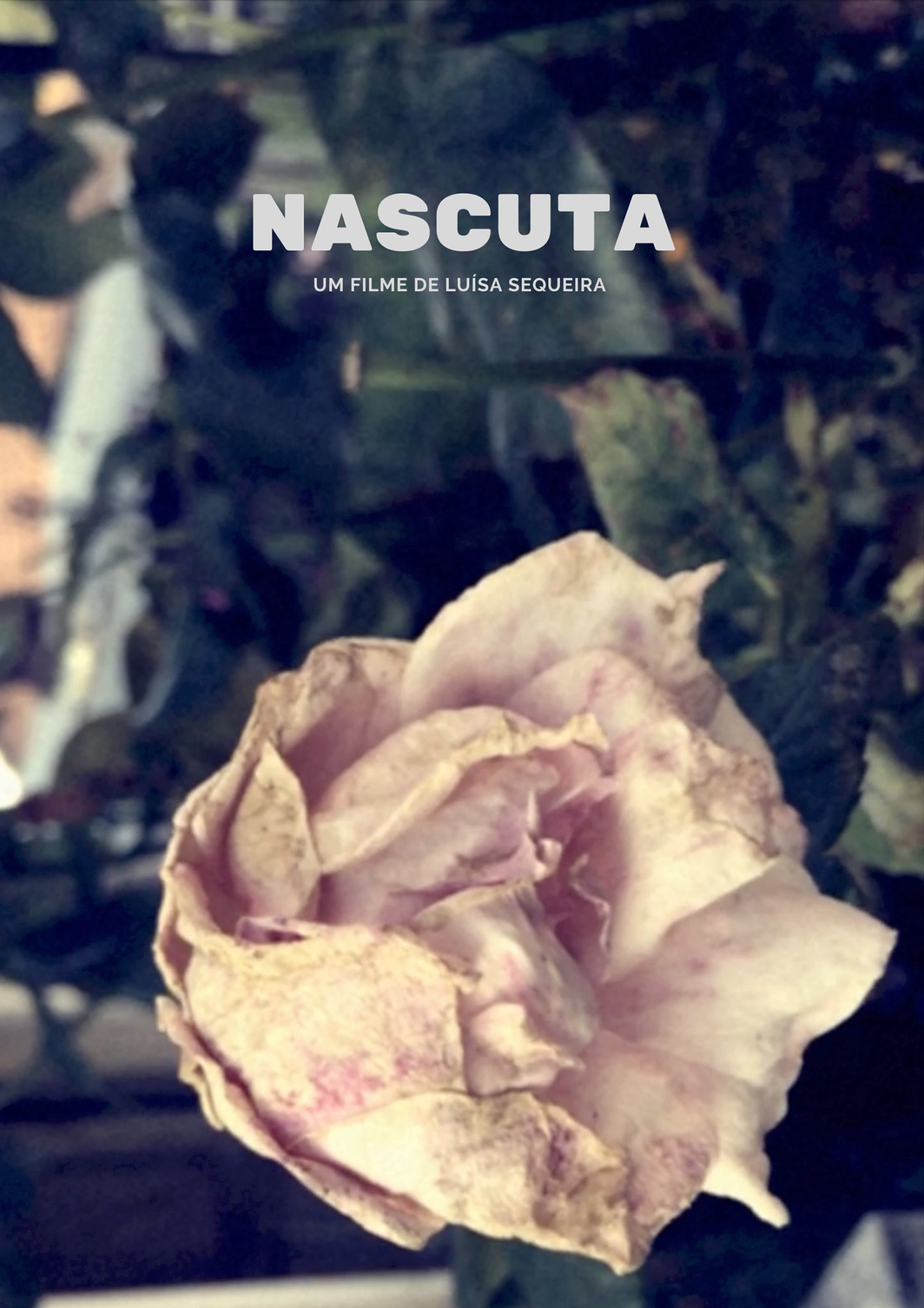 Projeção do filme 'Născută' (Nascida) de Luísa Sequeira