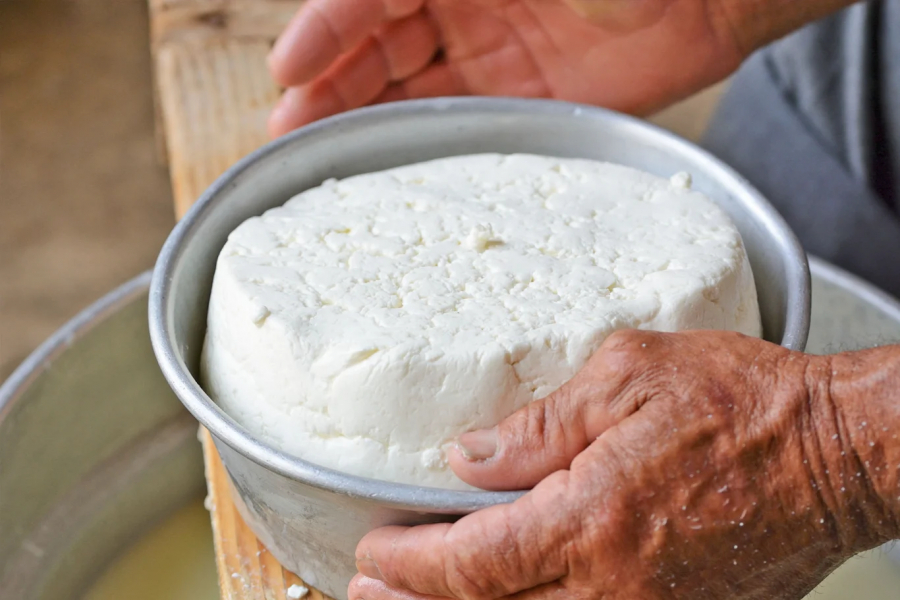 Taller de elaboración artesanal de queso