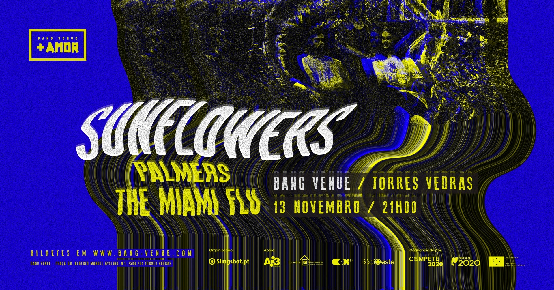 Concerto Palmers + The Miami Flu + Sunflowers | Bang Venue