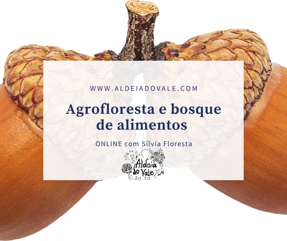Agrofloresta e bosques de alimentos do Mediterrâneo ONLINE