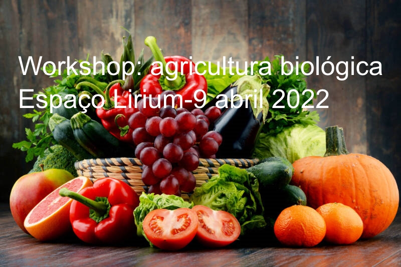 Workshop: agricultura biológica