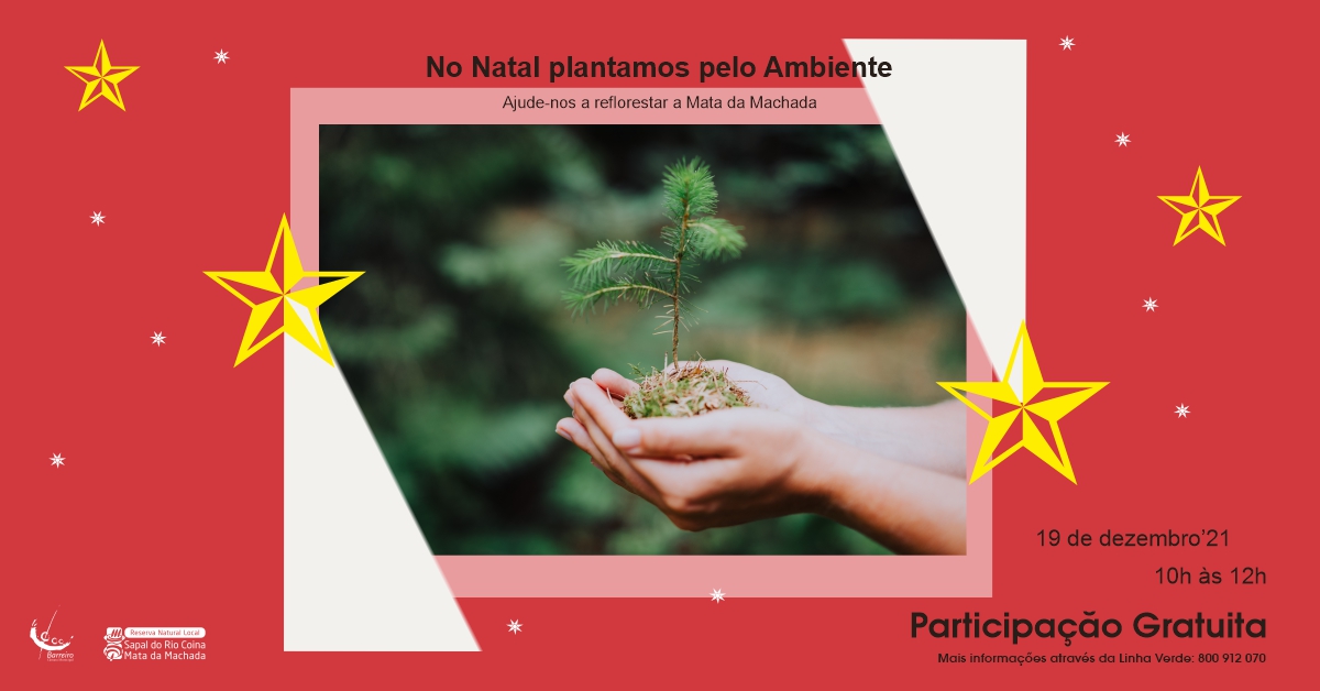 ADIADO | No Natal plantamos pelo Ambiente   Ajude-nos a reflorestar a Mata da Machada