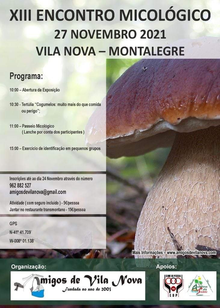 Vila Nova | XIII Encontro Micológico