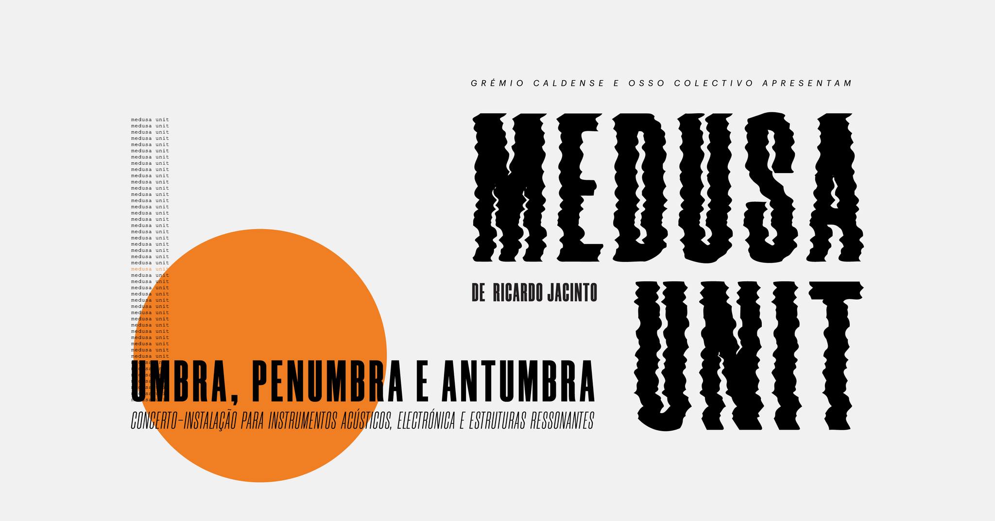 Ricardo Jacinto: MEDUSA Unit