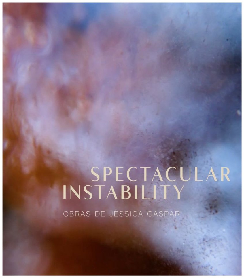 Apresentação do catálogo da exposição 'Spectacular Instability'