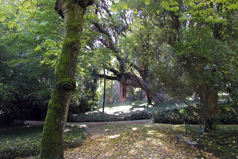 Visitas orientadas ao Jardim Botânico de Lisboa