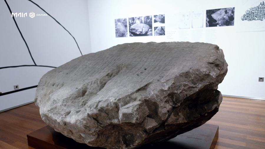 Exposições no Museu Municipal de História e Etnologia da Terra da Maia