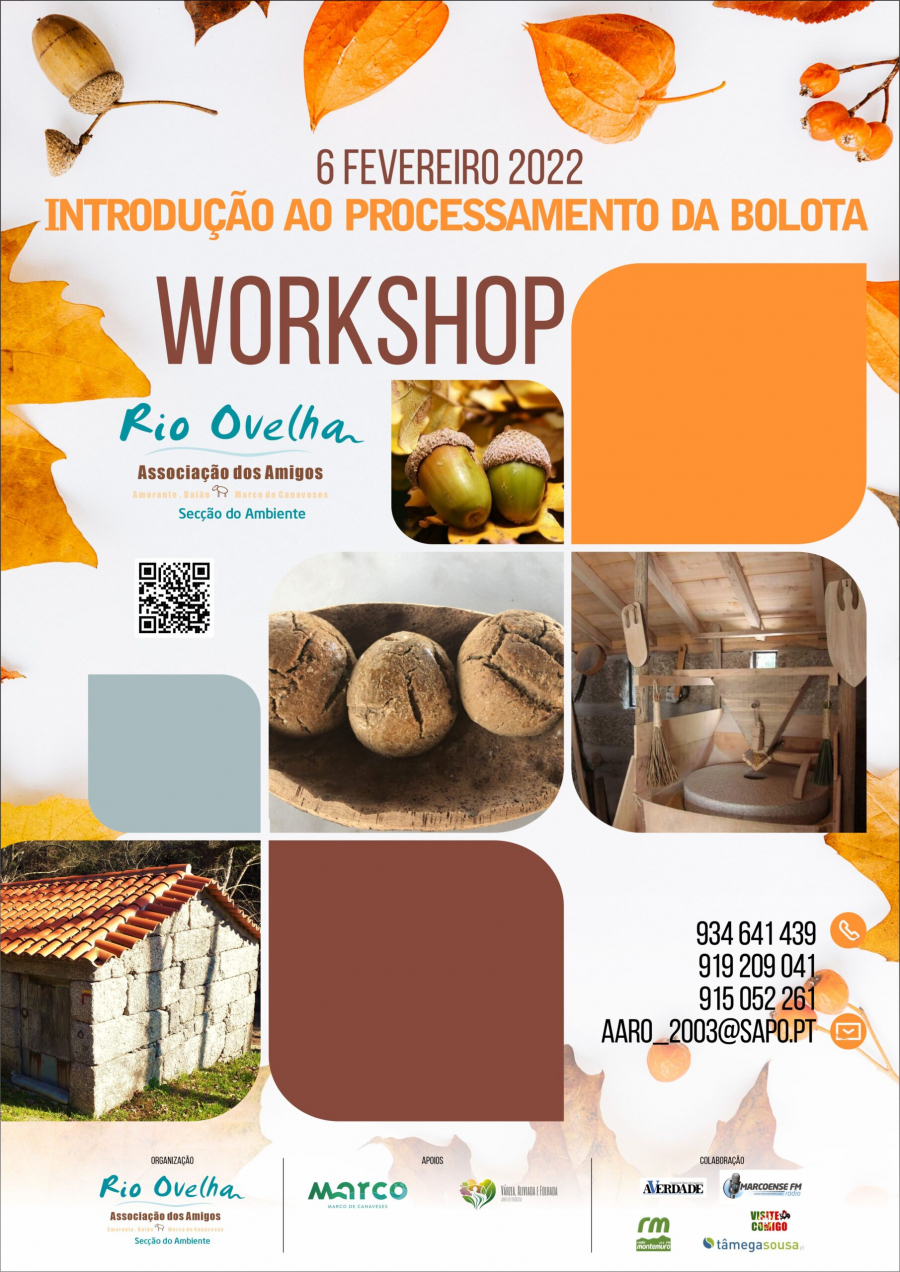Workshop de Introdução do Processamento da Bolota