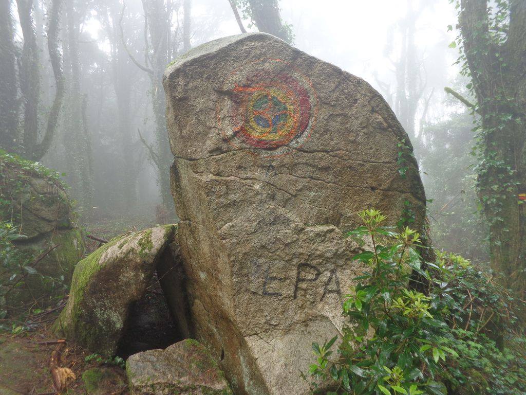 Caminhando em Bosques de Sintra