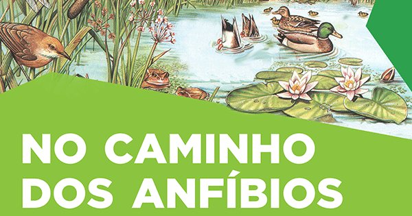 No Caminho dos Anfíbios