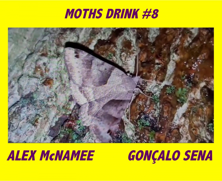 MOTHS DRINK THE TEARS OF SLEEPING BIRDS #8 | Alex McNamee & Gonçalo Sena