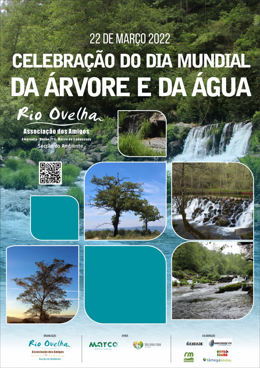 Celebração do Dia Mundial da Árvore e da Água