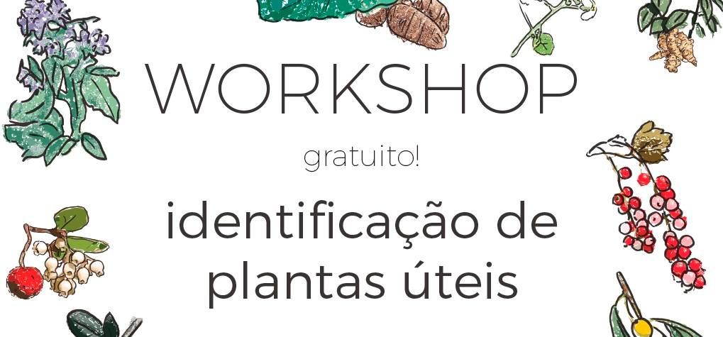 Workshop “Identificação de Plantas Úteis”