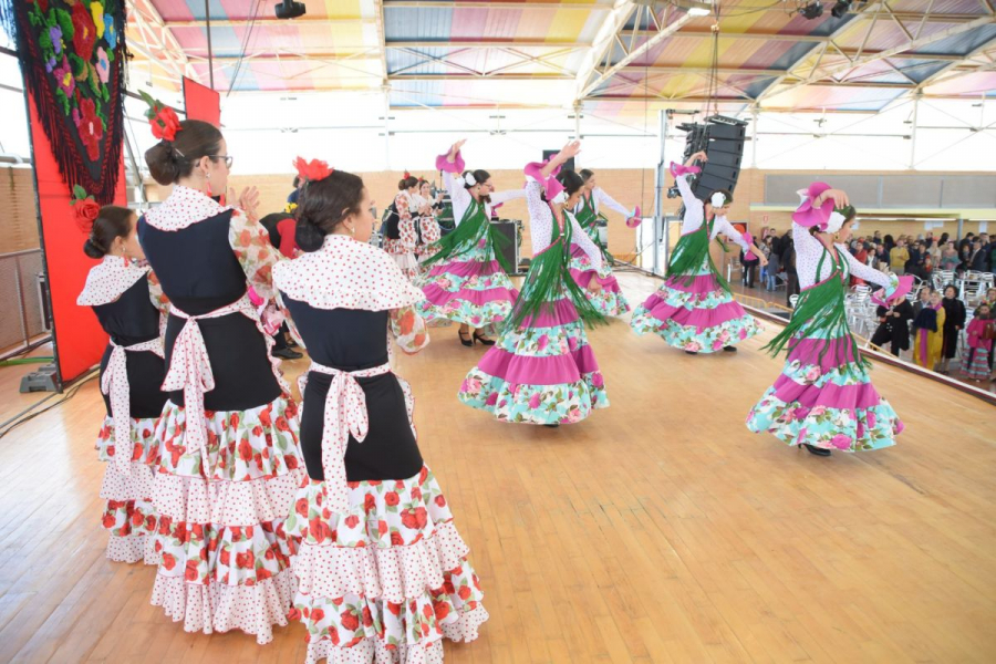 Baile flamenco y sevillanas
