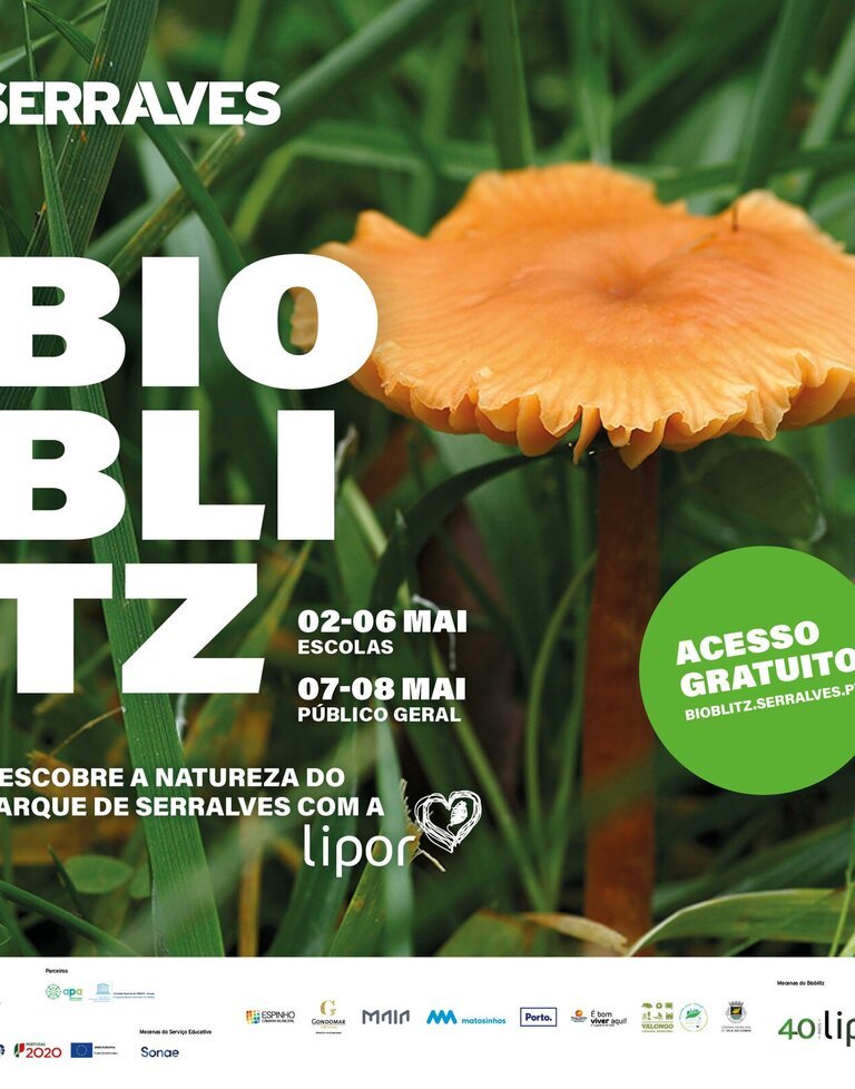 Bioblitz Serralves 2022