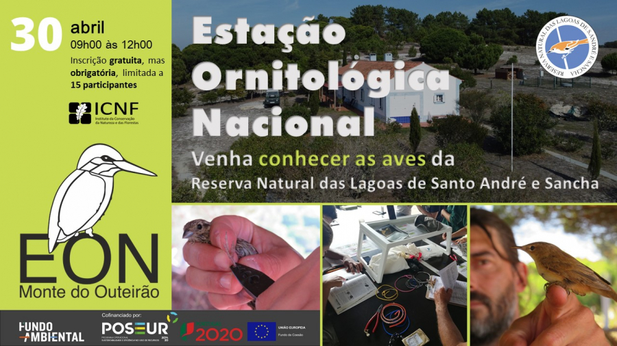 Visita guiada à Estação Ornitológica Nacional – Reserva Natural das Lagoas de Santo André e Sancha