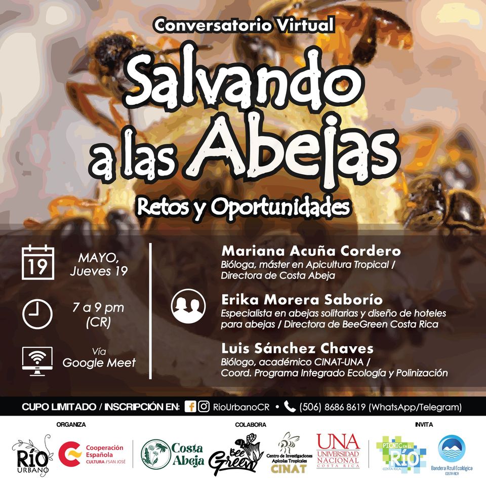 Conversatorio: "Salvando a las abejas: retos y oportunidades"
