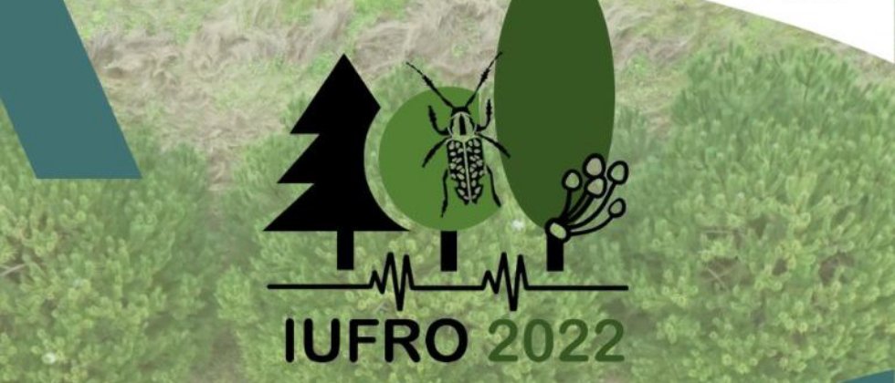 IUFRO Lisbon 2022