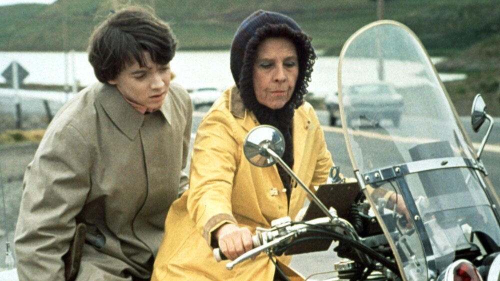 Harold e Maude