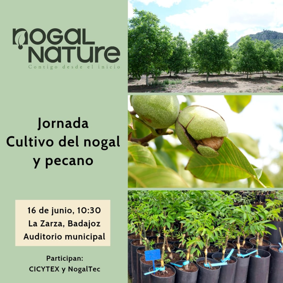  Jornada Cultivo Nogal y Pecano. La Zarza (Badajoz) 16 de junio de 2022