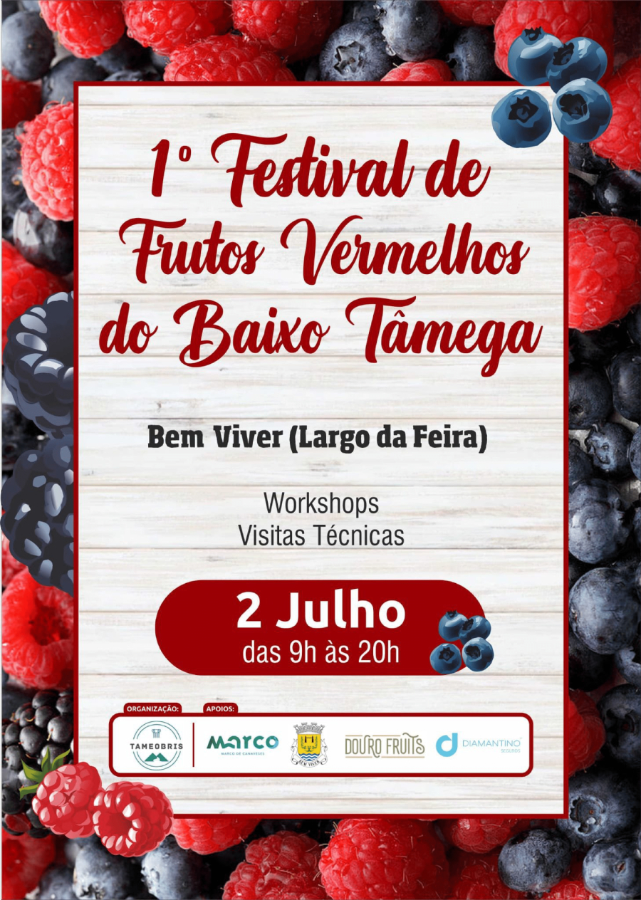 I Festival dos Frutos Vermelhos do Baixo Tâmega