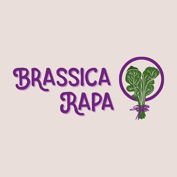 Concerto de Fanfarria Brassica Rapa