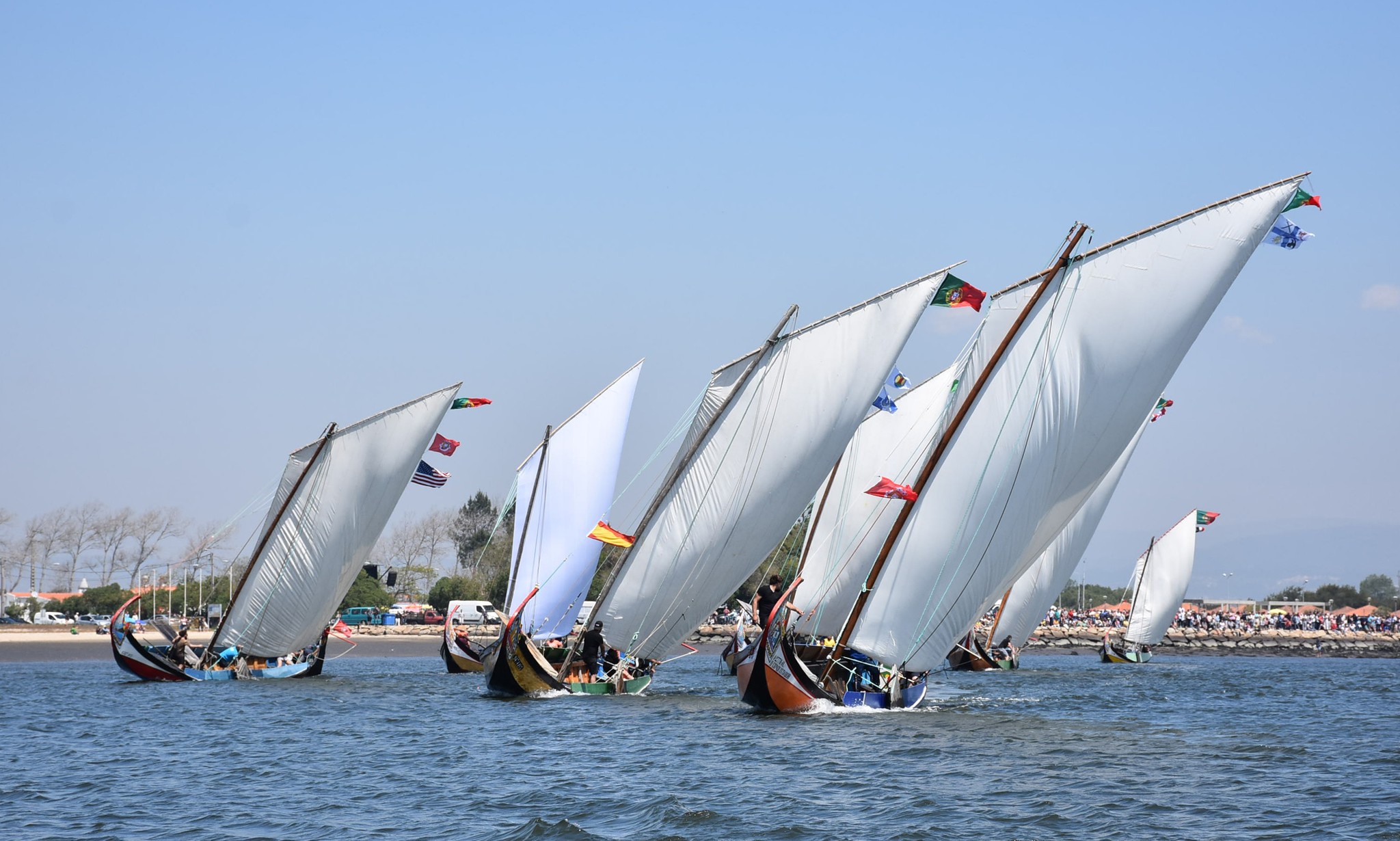 Regata de Barcos Moliceiros - Festa do Emigrante