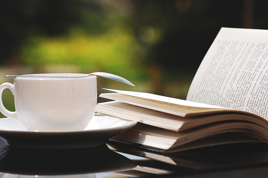 Conversatorio “Bush tea evening: a natural medicine for our fiscal body” | Biblioteca Pública de Limón