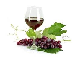 Ciclo Passos Contados «A uva, a vinha e a produção artesanal de vinho em Cacela»