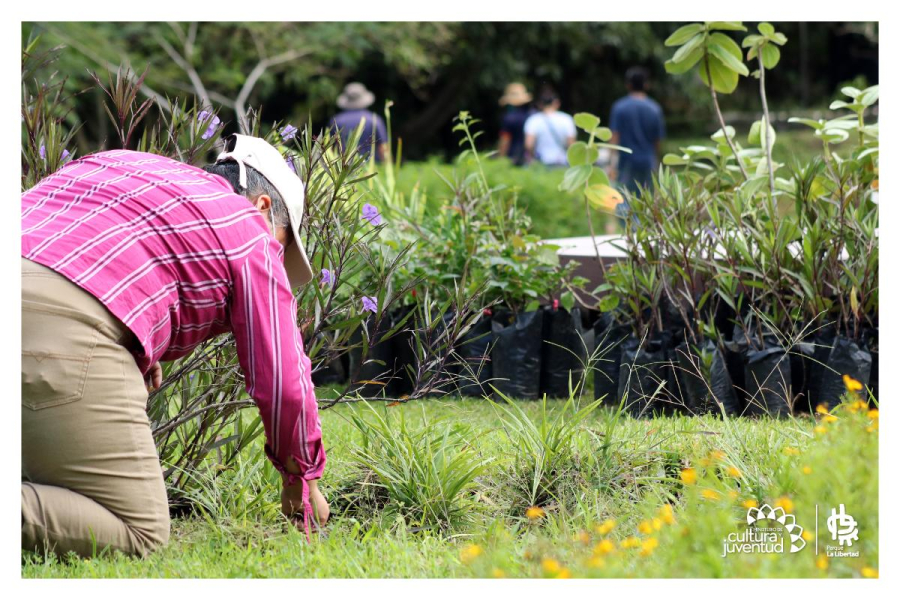 Taller: Primeros pasos en jardinería  | Parque La Libertad