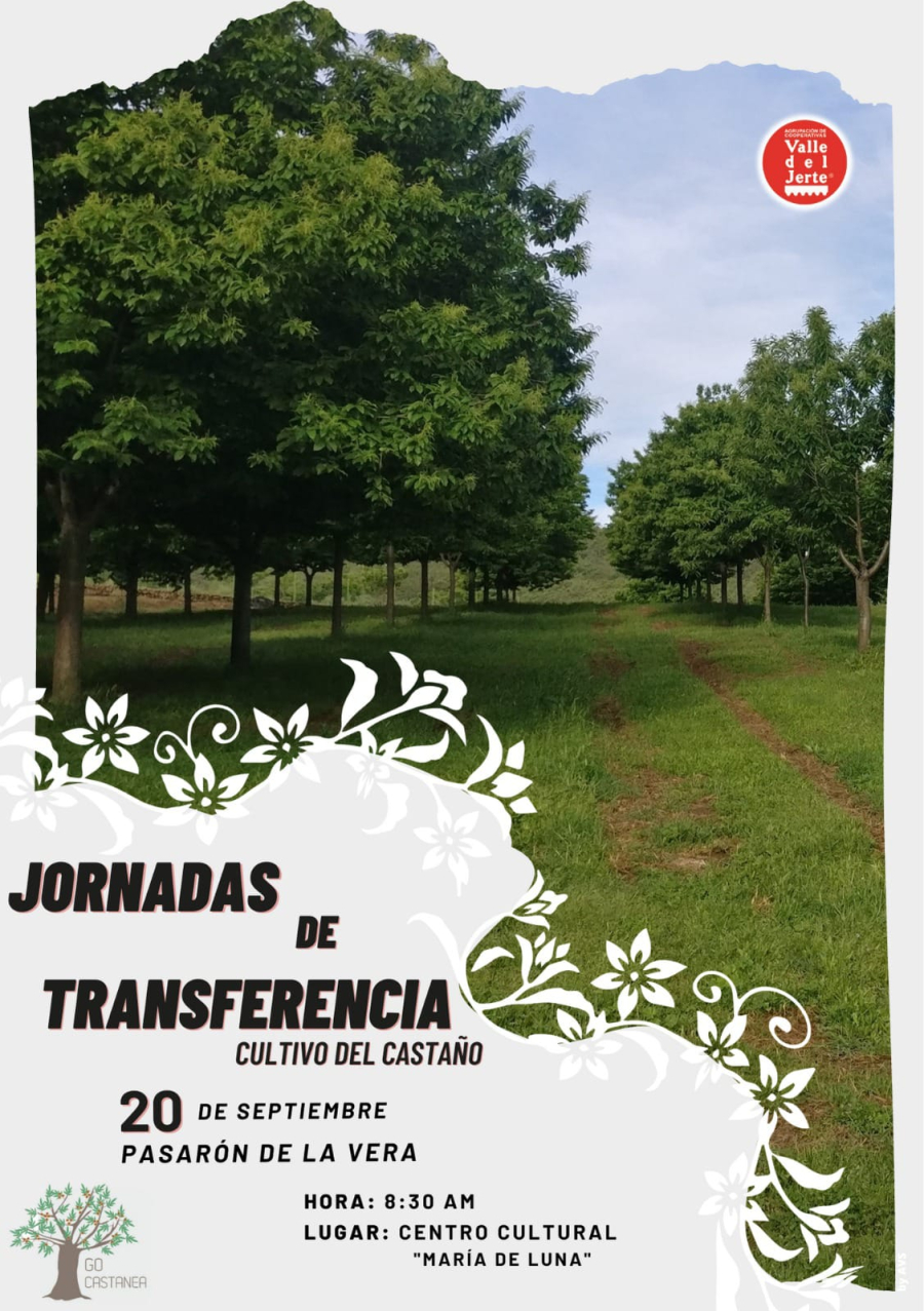  Jornada de transferencia Cultivo del Castaño. Pasarón de la Vera (Cáceres). 20 de septiembre de 2022