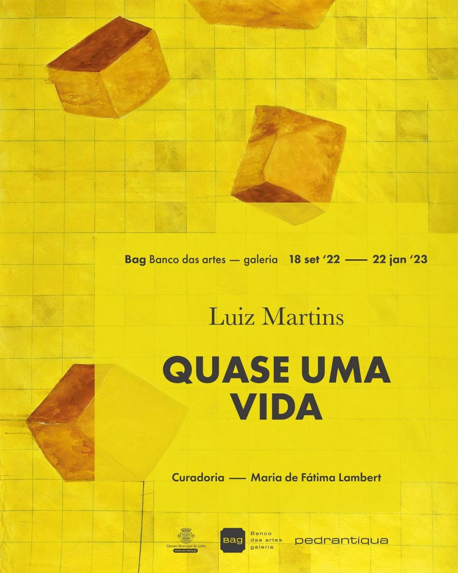 Quase uma Vida | Exposição de Luiz Martins
