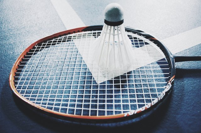 Torneio de Badminton