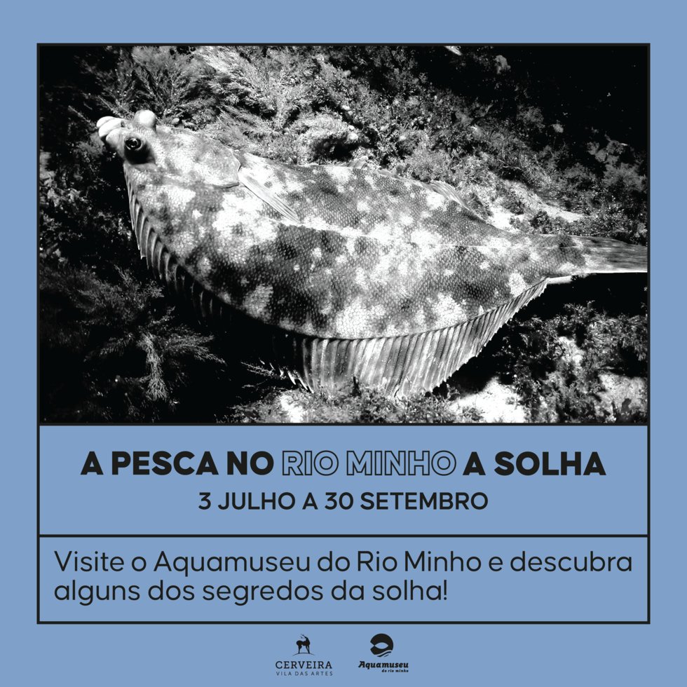 Exposição: A PESCA NO RIO MINHO: A SOLHA?