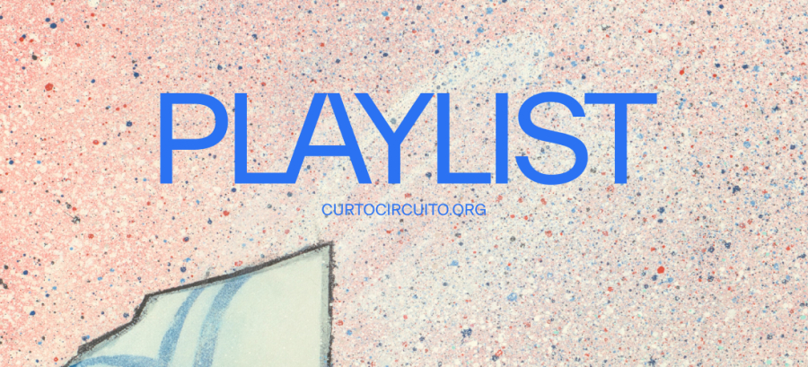 Playlist 4- The lost record