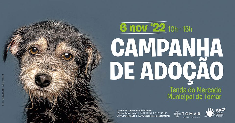 Campanha de adoção de animais