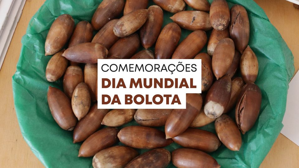 COMEMORAÇÕES - DIA MUNDIAL DA BOLOTA