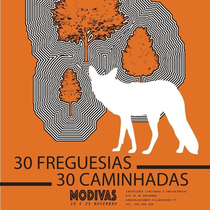 Projeto “Vila do Conde: 30 Freguesias – 30 Caminhadas” promove caminhadas em Modivas