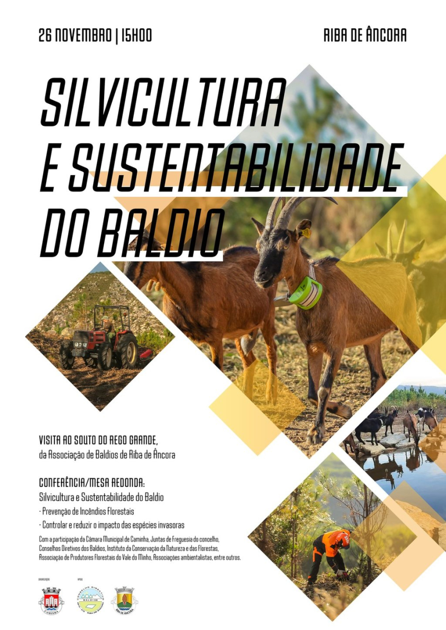 Conferência sobre Silvicultura e Sustentabilidade do Baldio