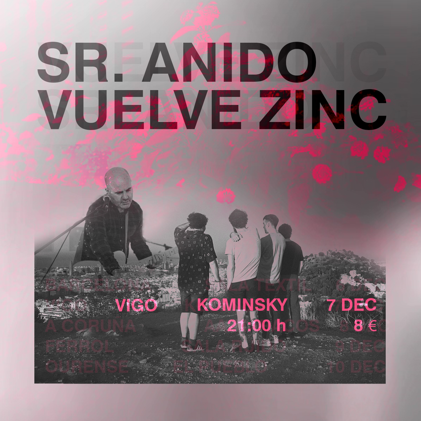 SR ANIDO + VUELVE ZINC